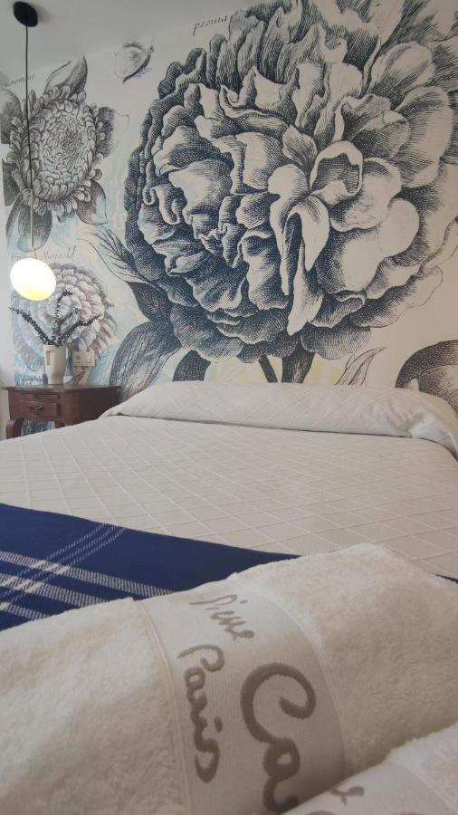 Suite Playa มีโญ ภายนอก รูปภาพ